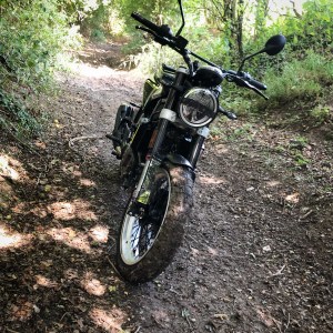 DB40DD5B-F0DC-4306-AA92-2AAB16ECF99B