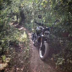 D54C0618-E9A6-47CA-84F6-C7627E1438CA